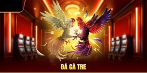 đá gà tre uy88